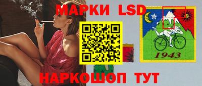spice Камышлов