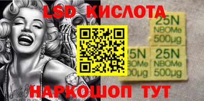 spice Камышлов