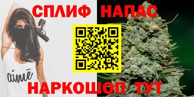 spice Камышлов