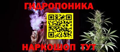 spice Камышлов