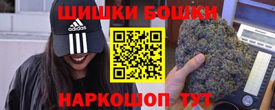 spice Камышлов
