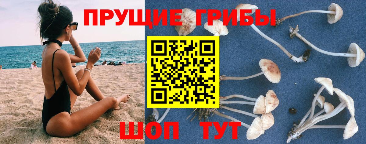 Галлюциногенные грибы ЛСД  Вход с VPN  купить наркотик  Южноуральск 