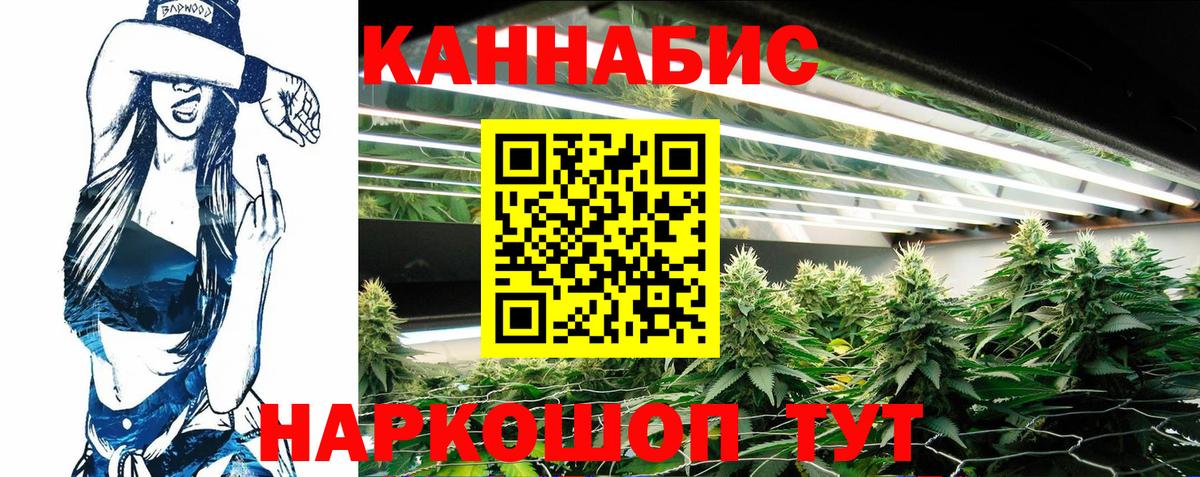 Южноуральск  Конопля Amnesia  Вход с VPN  Конопля тримм  МАРИХУАНА конопля 